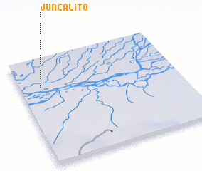 3d view of Juncalito