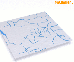 3d view of Palmareal