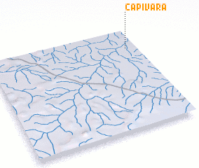 3d view of Capivara