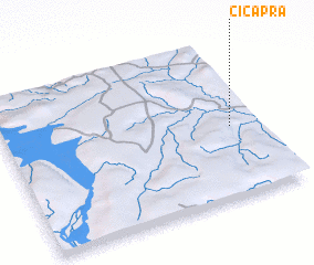 3d view of Cicapra