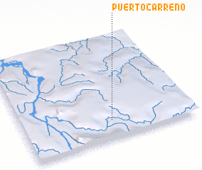 3d view of Puerto Carreño