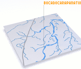 3d view of Boca do Carapanatuba