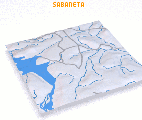 3d view of Sabaneta