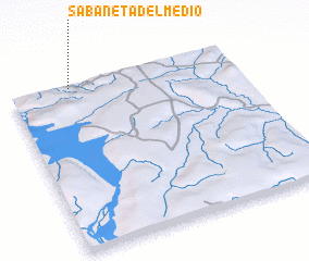 3d view of Sabaneta del Medio