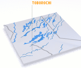 3d view of Toborochi