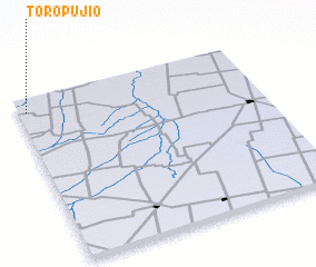 3d view of Toro Pujío