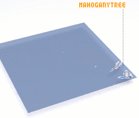 3d view of Mahogany Tree