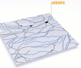 3d view of Joropo