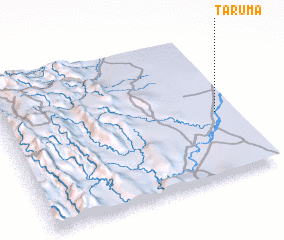 3d view of Tarumá