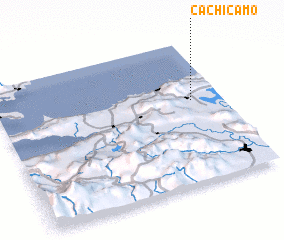 3d view of Cachicamo