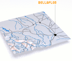 3d view of Bella Flor