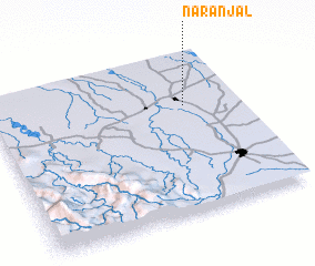 3d view of Naranjal