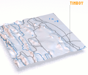 3d view of Timboy