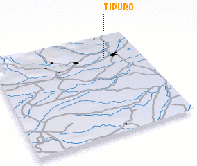 3d view of Tipuro