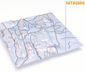3d view of Natagara