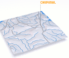 3d view of Chuponal