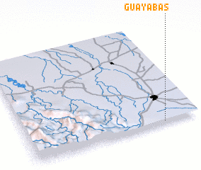 3d view of Guayabas