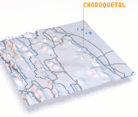 3d view of Choroquetal