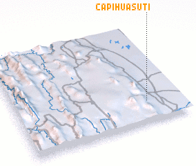 3d view of Capihuasuti