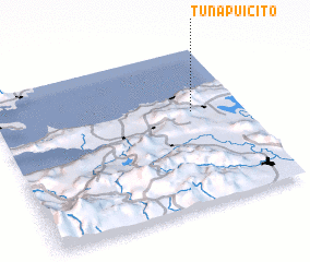 3d view of Tunapuicito