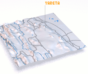 3d view of Yareta