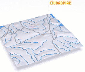 3d view of Ciudad Piar