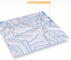 3d view of Las Tasajeras