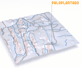 3d view of Palo Plantado