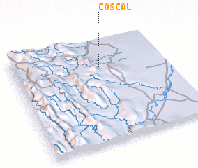 3d view of Coscal