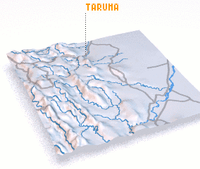 3d view of Tarumá