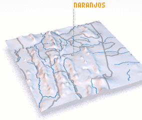3d view of Naranjos