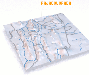 3d view of Paja Colorada