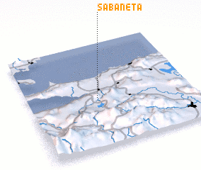 3d view of Sabaneta