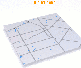 3d view of Miguel Cané