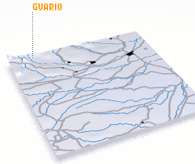 3d view of Guario