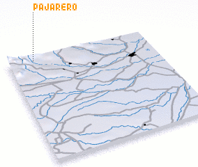 3d view of Pajarero