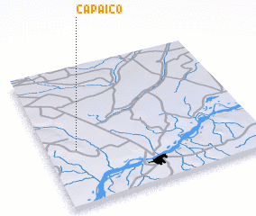 3d view of Capaico