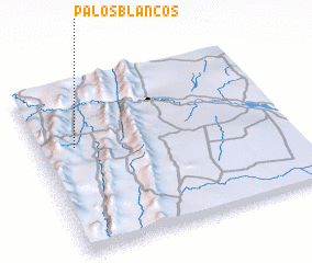 3d view of Palos Blancos