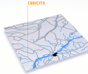 3d view of Caricito