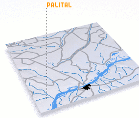3d view of Palital