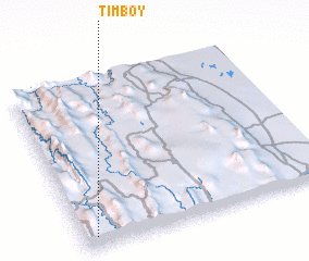 3d view of Timboy