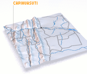 3d view of Capihuasuti