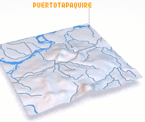 3d view of Puerto Tapaquire