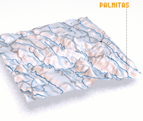 3d view of Palmitas