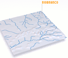 3d view of Rio Branco