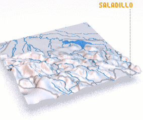 3d view of Saladillo