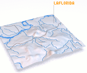 3d view of La Florida