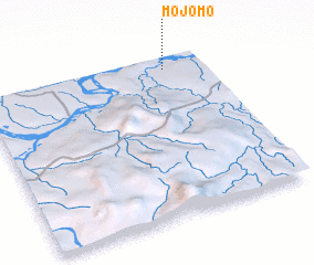 3d view of Mojomo