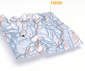 3d view of Toriri