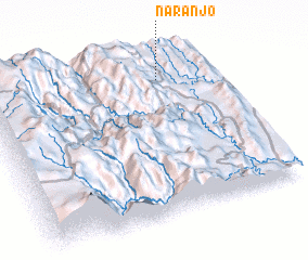 3d view of Naranjo